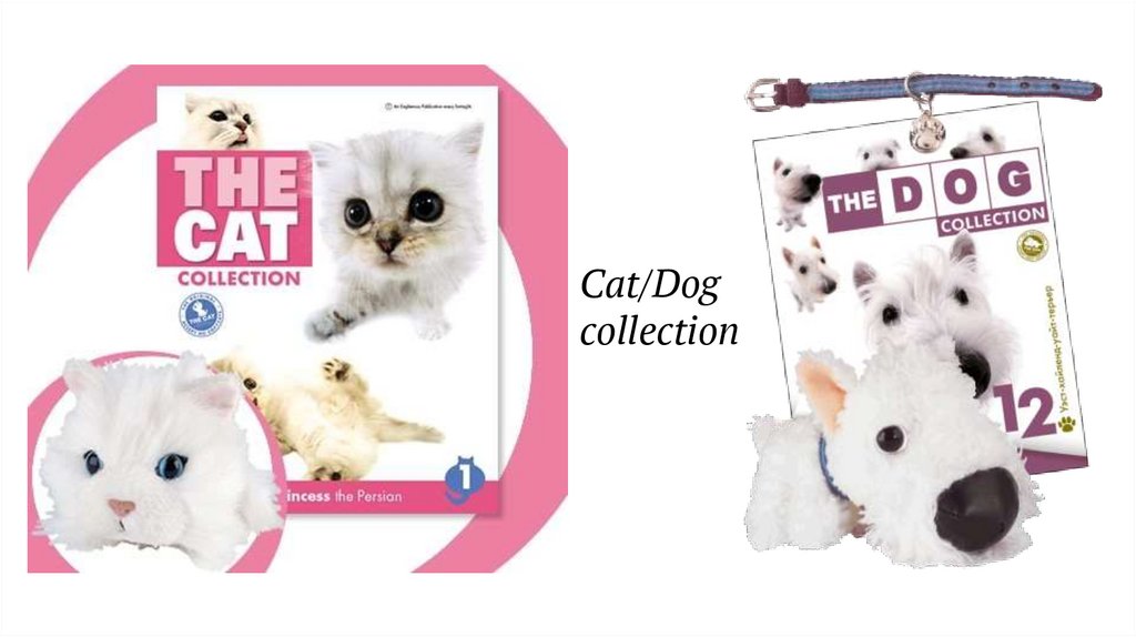 Cat/Dog collection