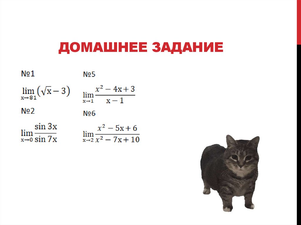 Домашнее задание