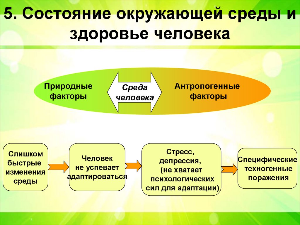 5. Состояние окружающей среды и здоровье человека