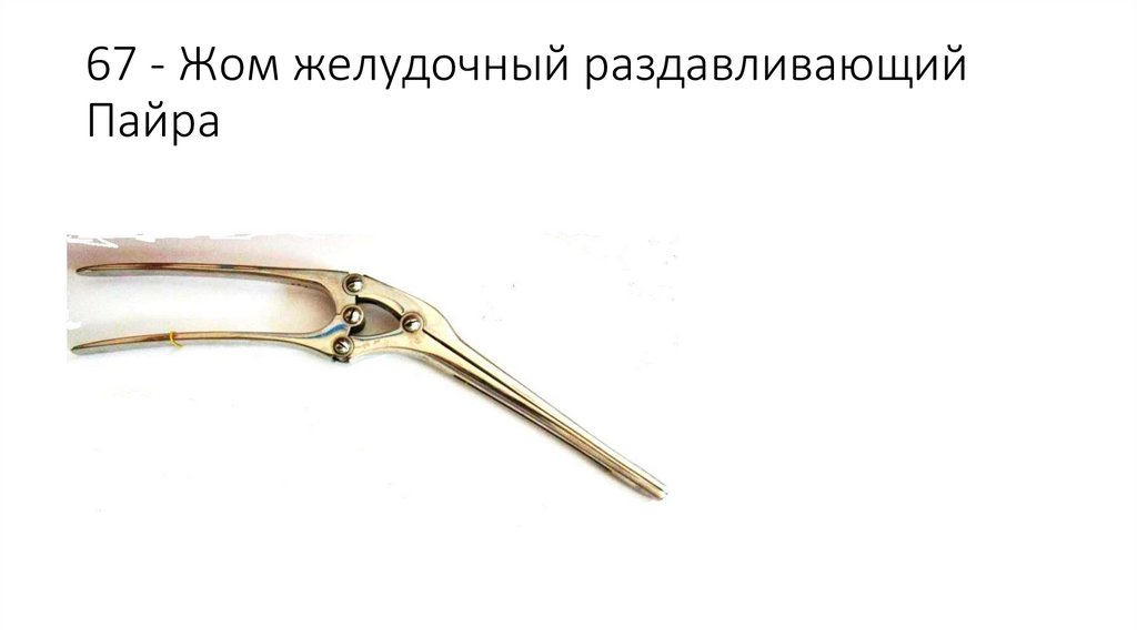 67 - Жом желудочный раздавливающий Пайра