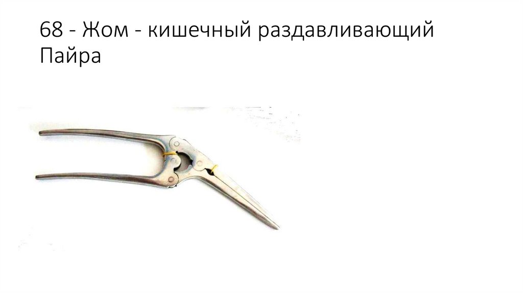 68 - Жом - кишечный раздавливающий Пайра