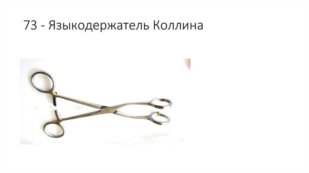 73 - Языкодержатель Коллина