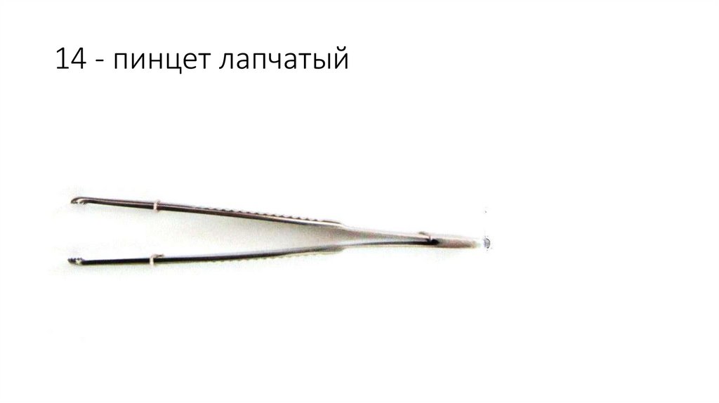 14 - пинцет лапчатый