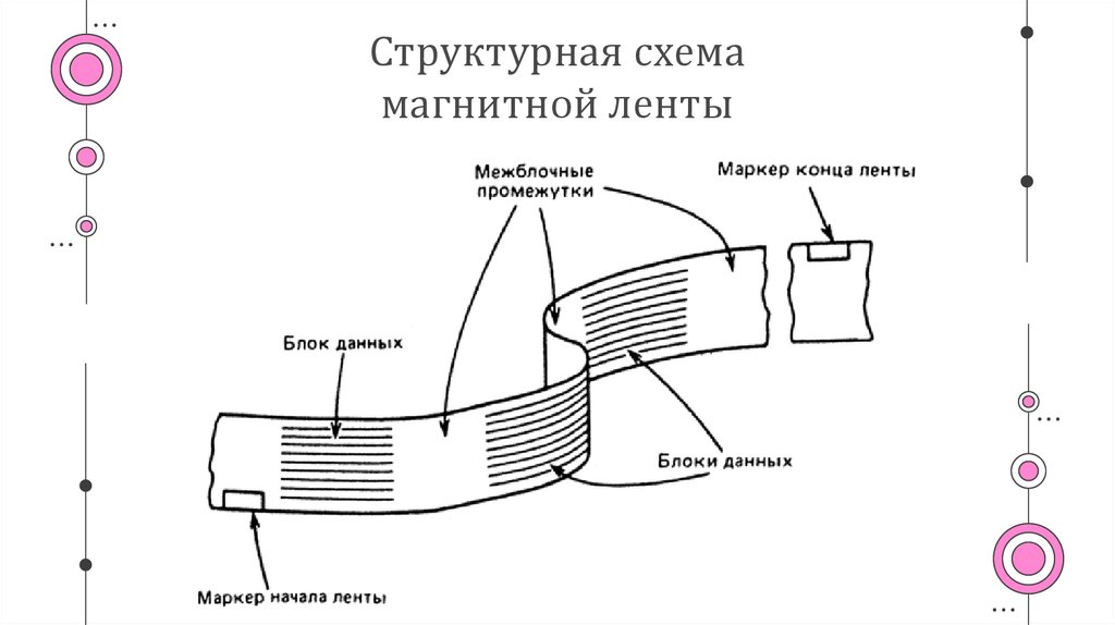 Структурная схема магнитной ленты