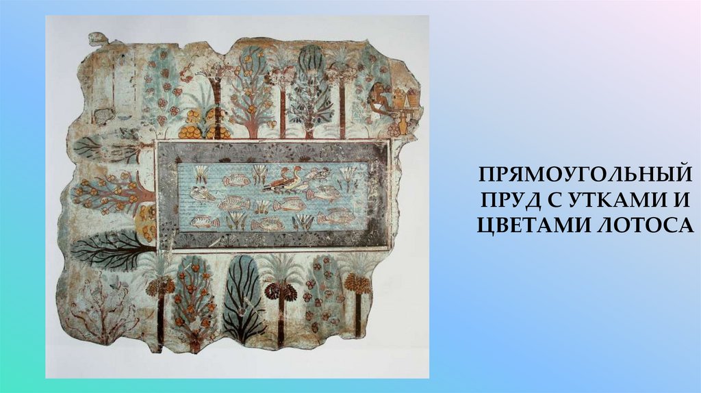 прямоугольный пруд с утками и цветами лотоса