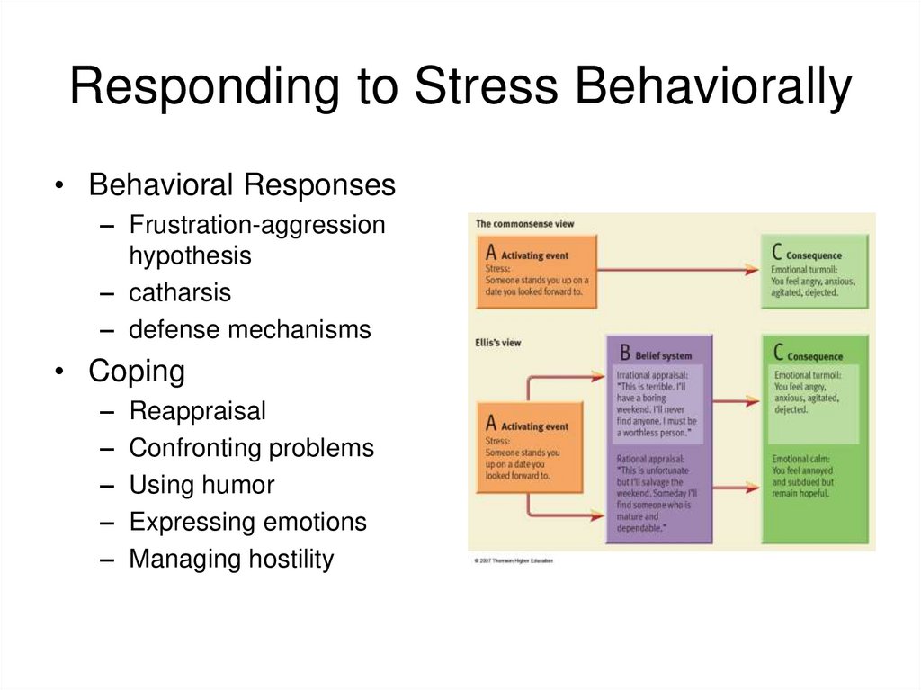 Responding to Stress Behaviorally