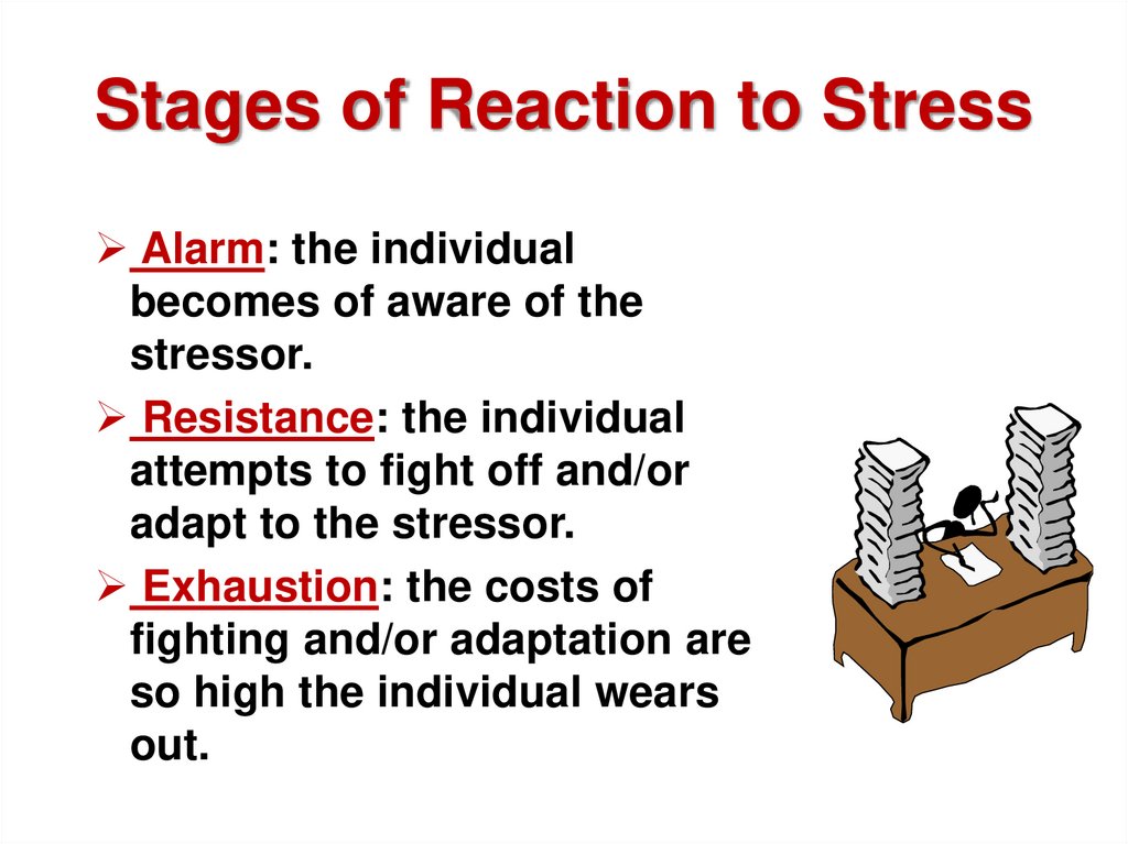 Stages of Reaction to Stress