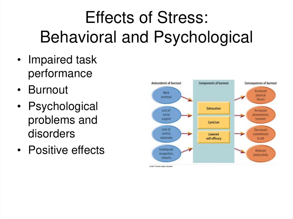 Effects of Stress: Behavioral and Psychological