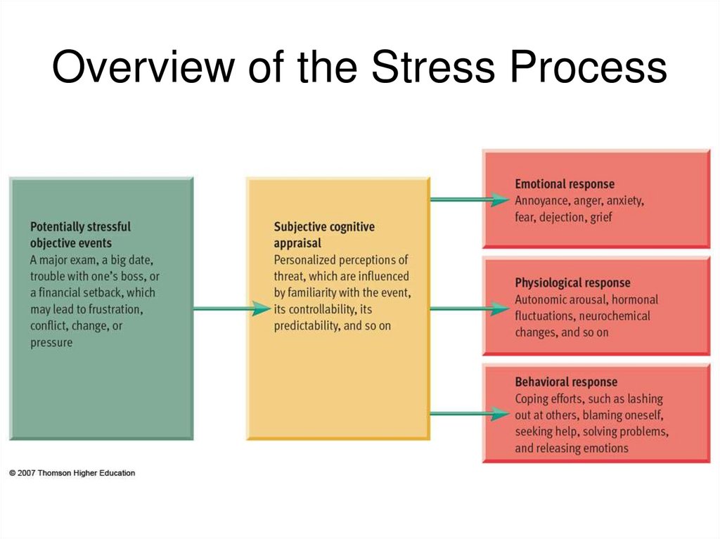 Overview of the Stress Process