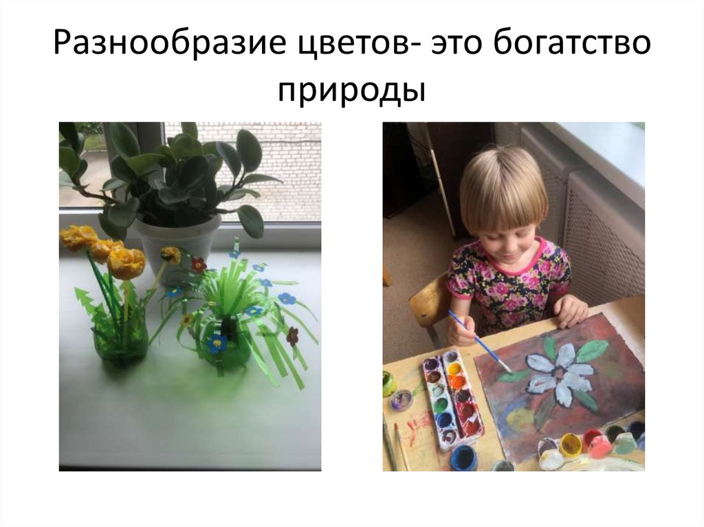 Разнообразие цветов- это богатство природы