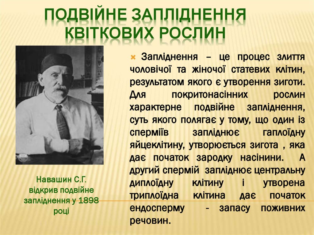 Подвійне запліднення квіткових рослин