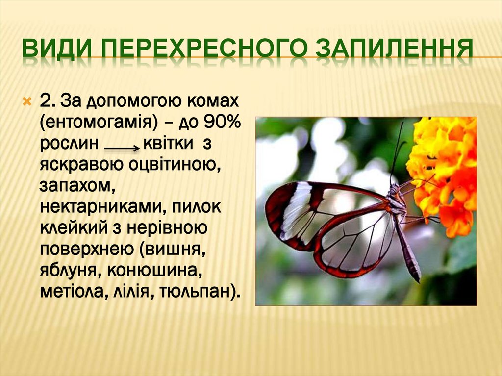 Види перехресного Запилення