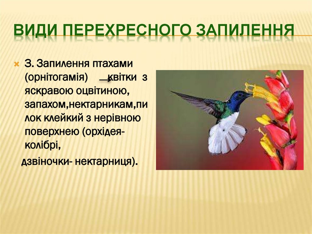 Види перехресного Запилення