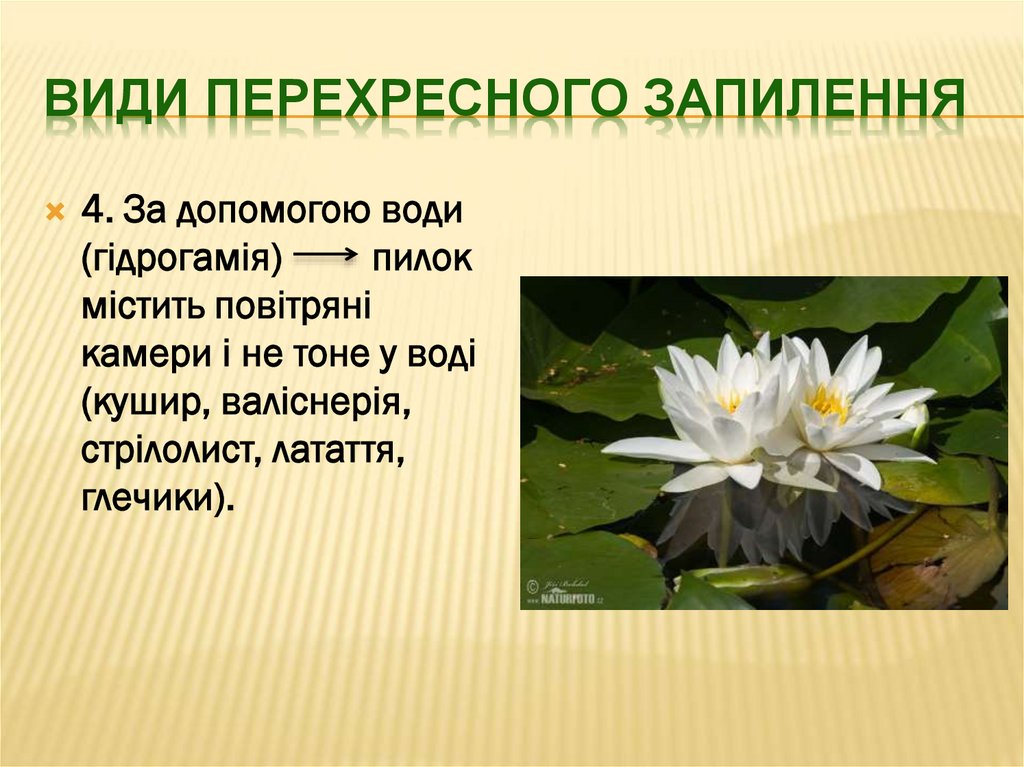 Види перехресного Запилення