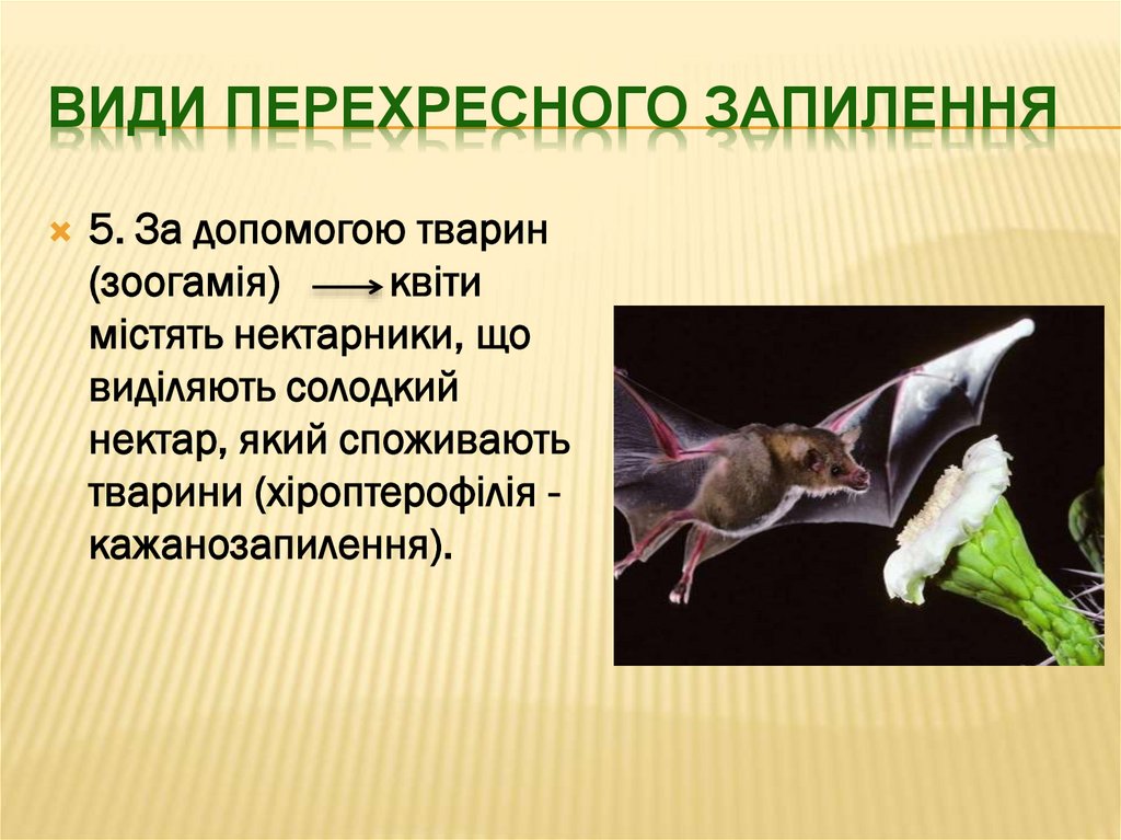 Види перехресного Запилення