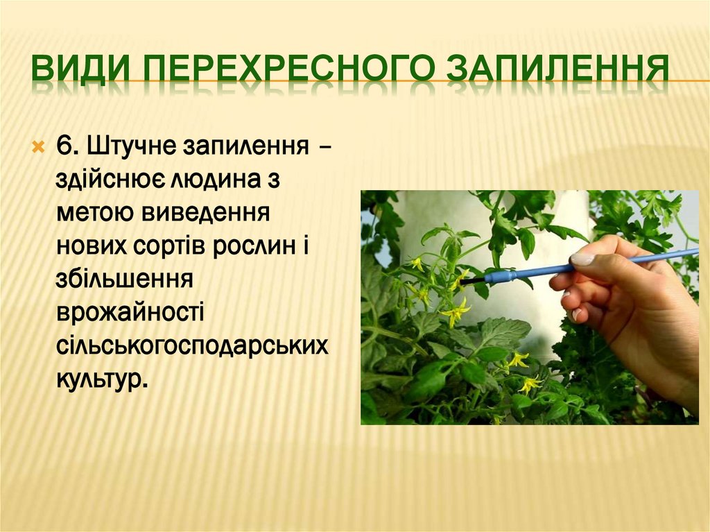 Види перехресного Запилення