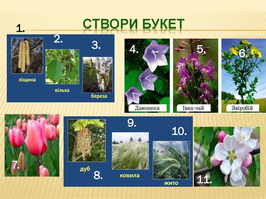 Створи букет