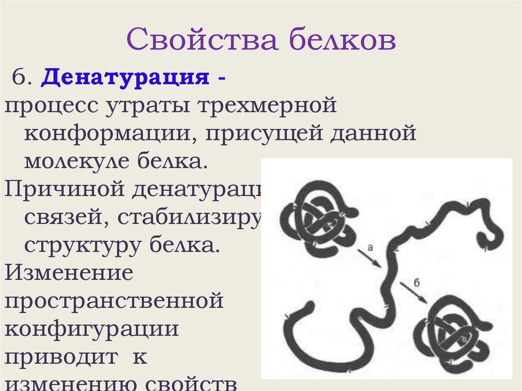 Свойства белков