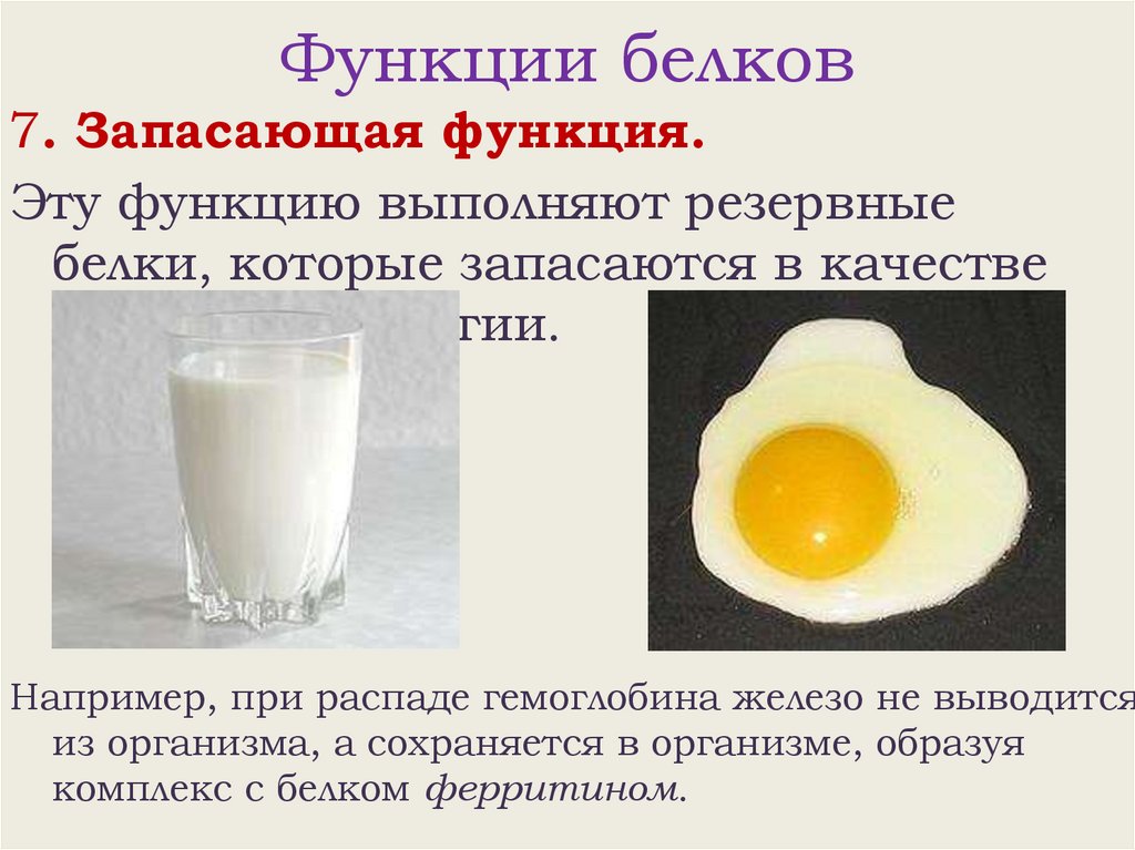 Функции белков