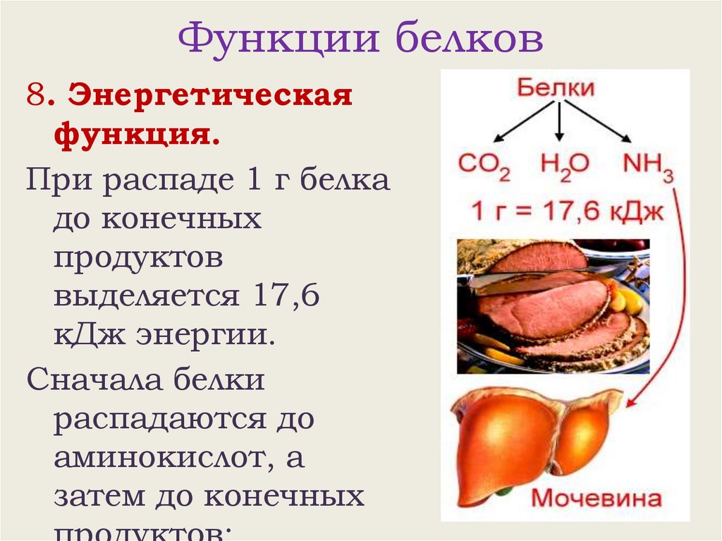 Функции белков