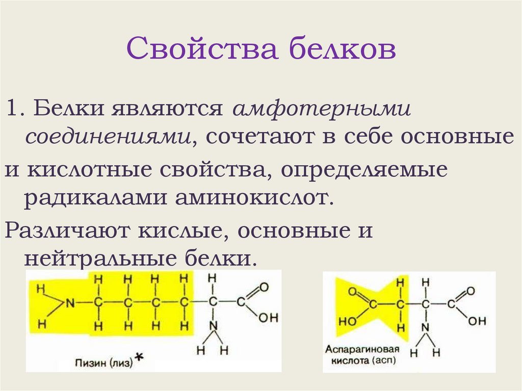 Свойства белков