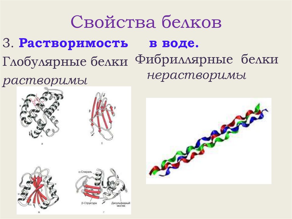 Свойства белков