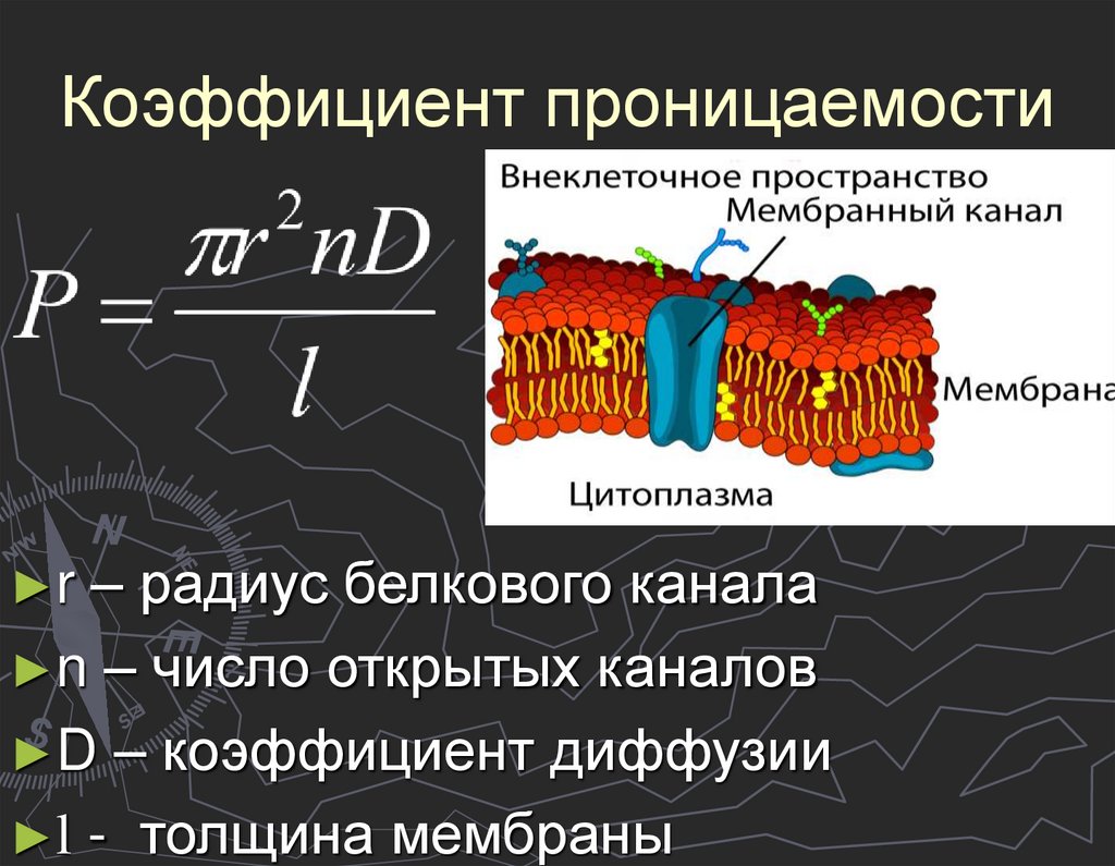 Уравнение диффузии для мембраны