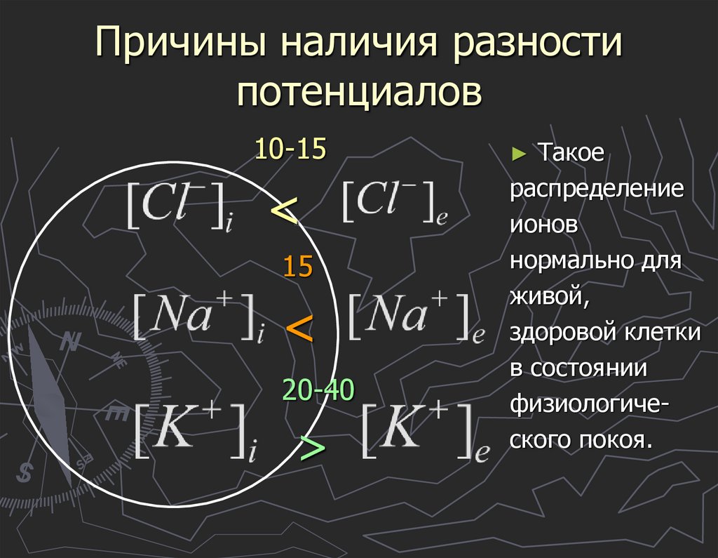 Уравнение Нерста-Планка Перенос ионов через мембрану