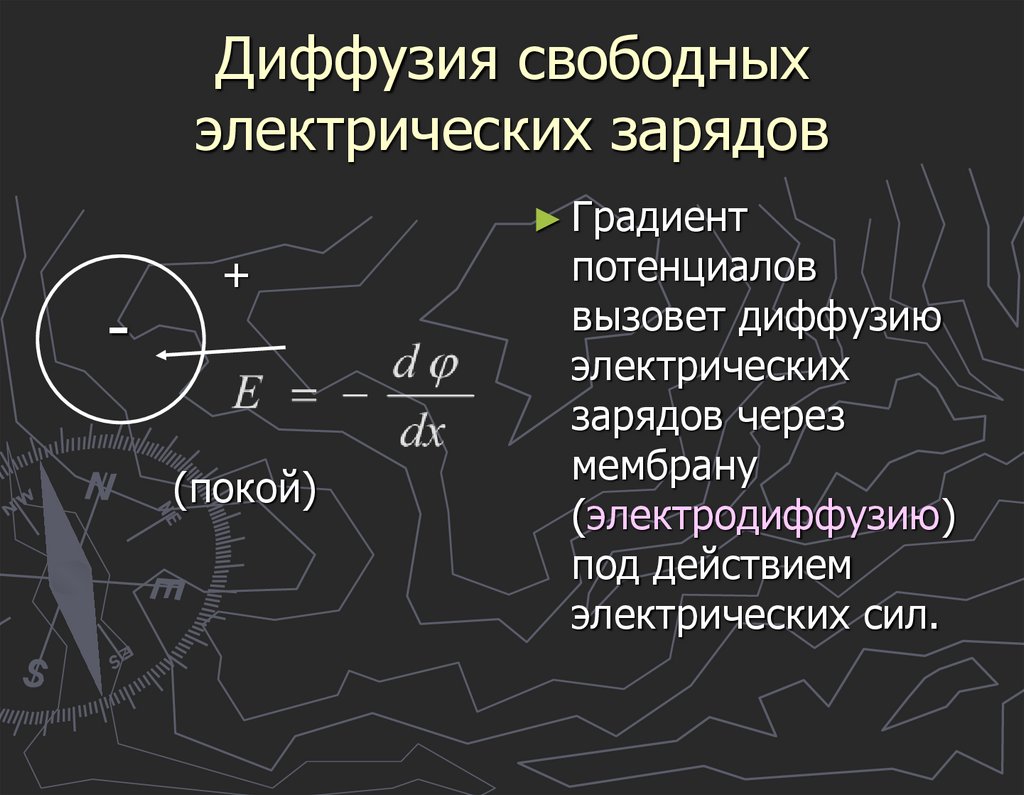 Причины наличия разности потенциалов