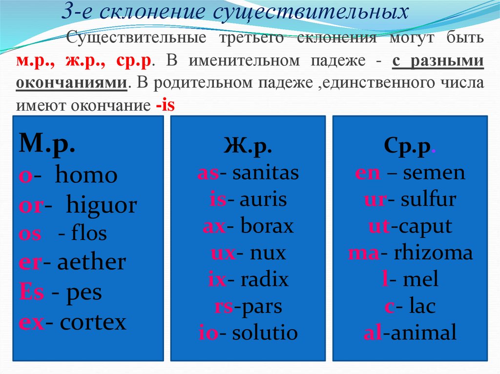 3-е склонение существительных