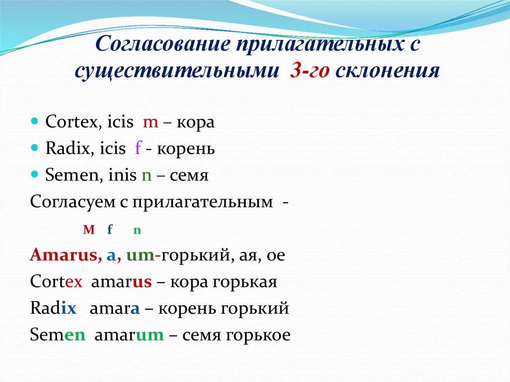 Согласование прилагательных с существительными 3-го склонения