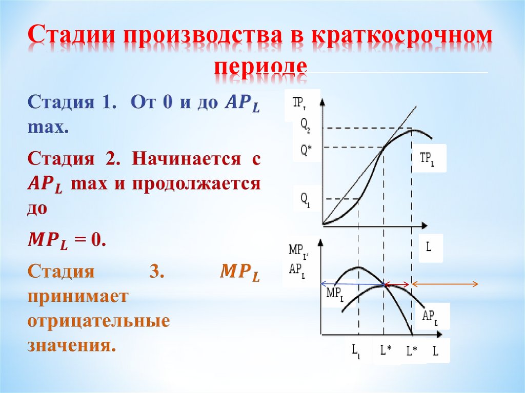 Стадии производства в краткосрочном периоде