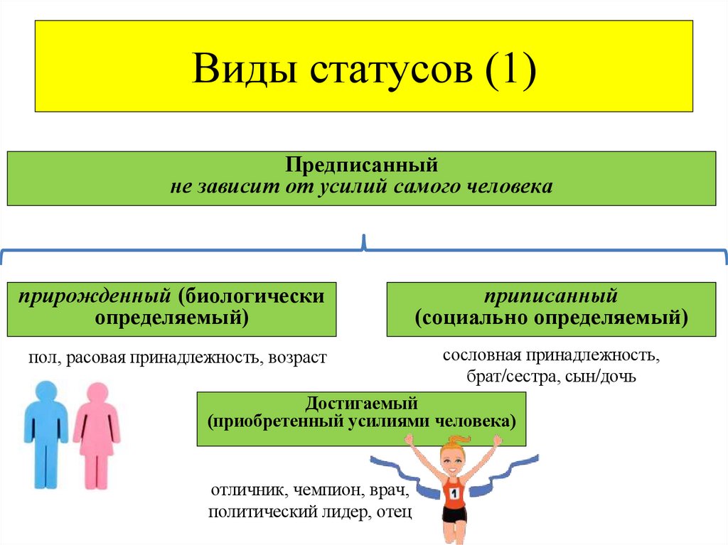 Виды статусов (1)
