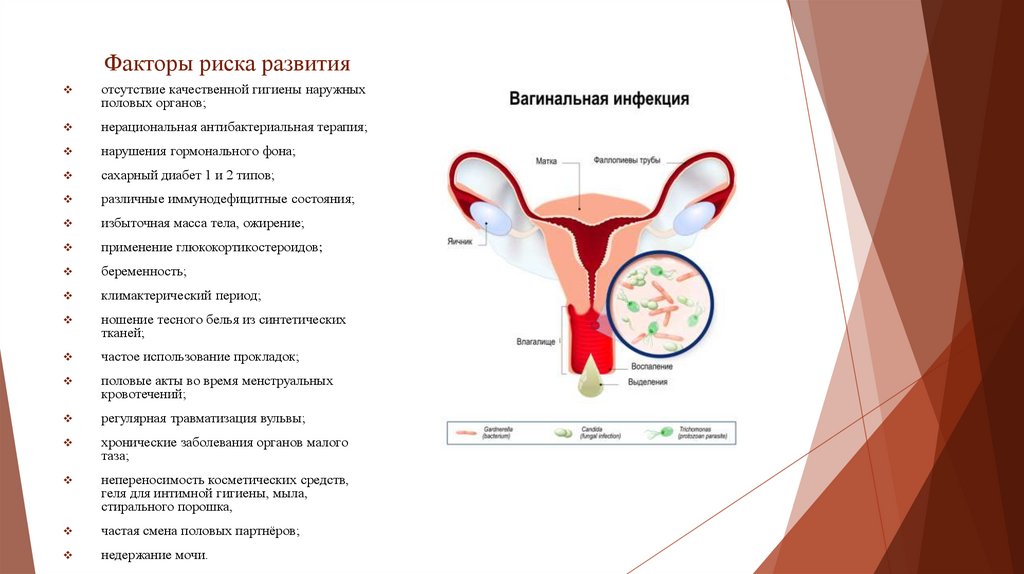 Факторы риска развития