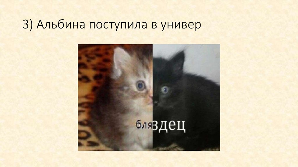 3) Альбина поступила в универ