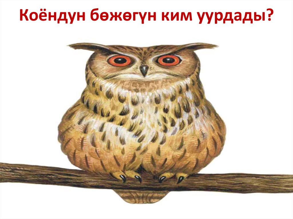 Коёндун бөжөгүн ким уурдады?