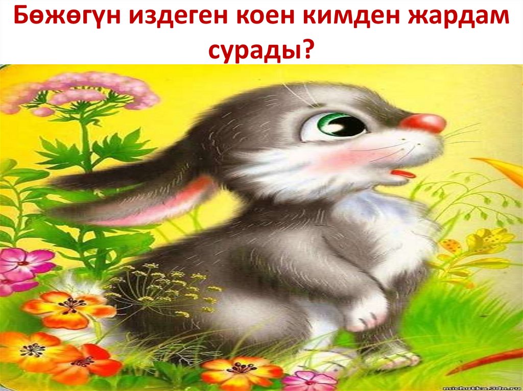 Бөжөгүн издеген коен кимден жардам сурады?