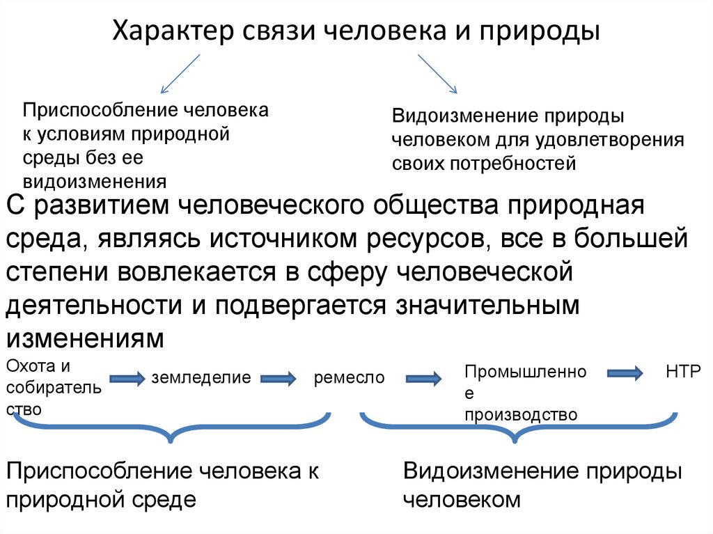 Характер связи человека и природы