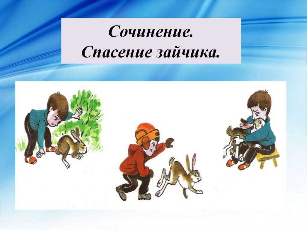 Сочинение. Спасение зайчика.