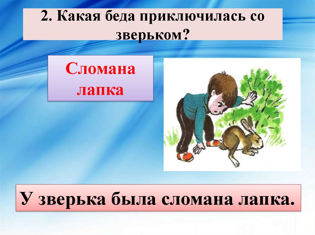 2. Какая беда приключилась со зверьком?