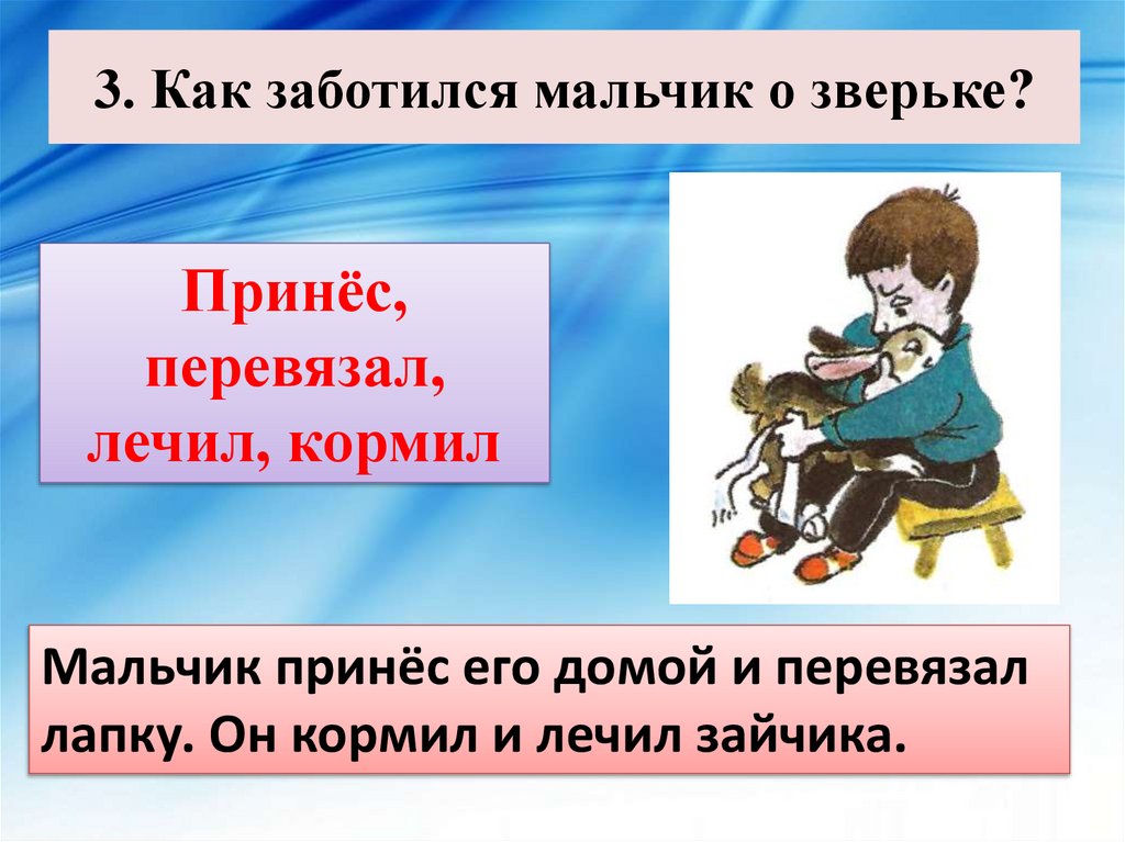3. Как заботился мальчик о зверьке?