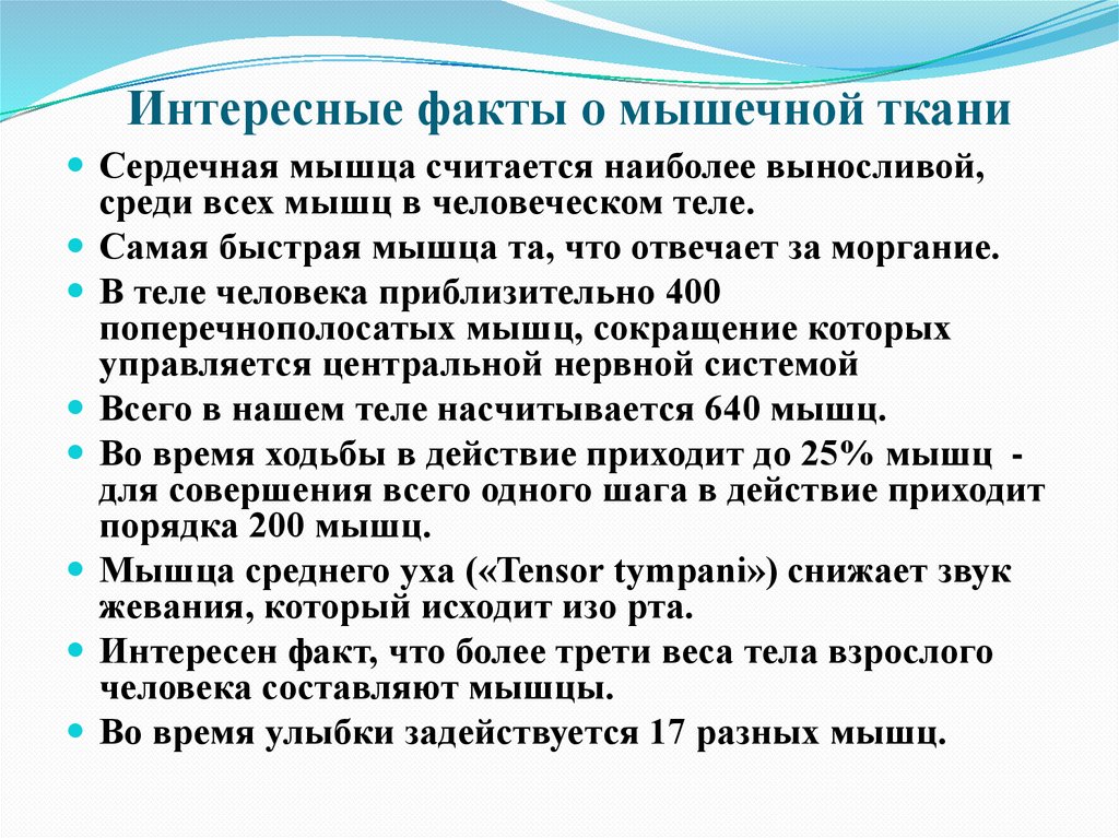 Интересные факты о мышечной ткани