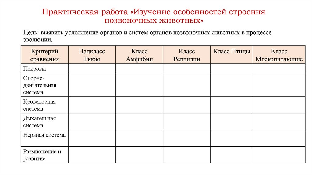Практическая работа «Изучение особенностей строения позвоночных животных»