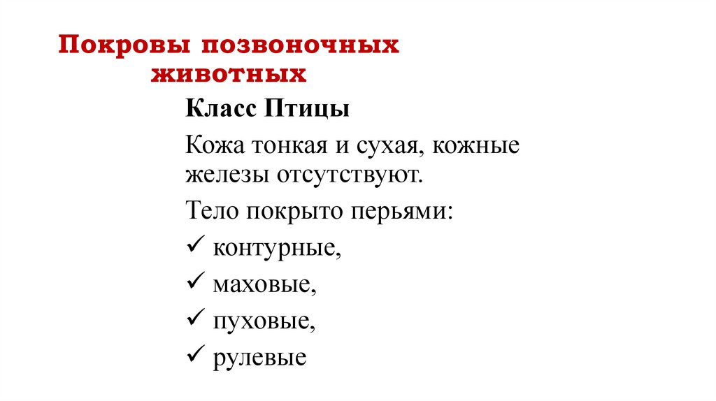 Покровы позвоночных животных