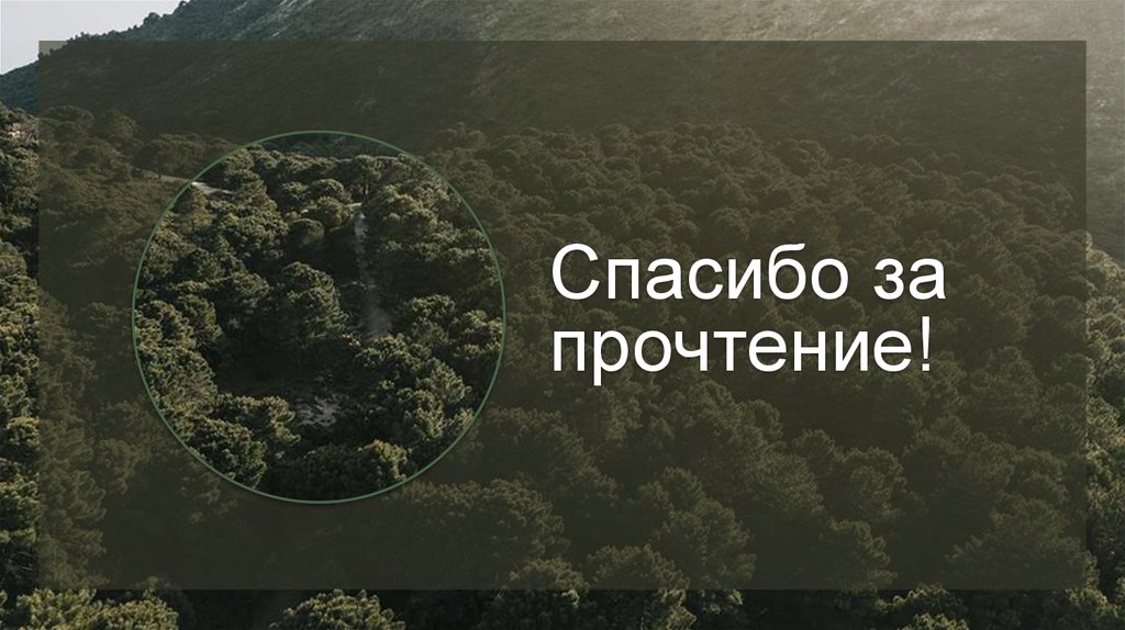 Спасибо за прочтение!