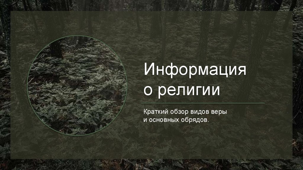 Информация о религии