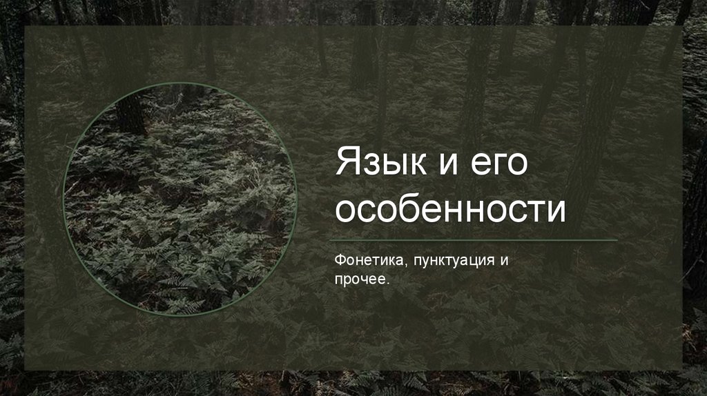 Язык и его особенности