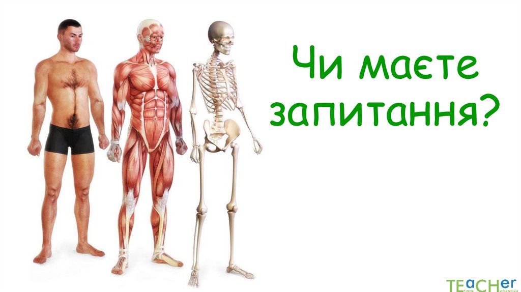 Чи маєте запитання?