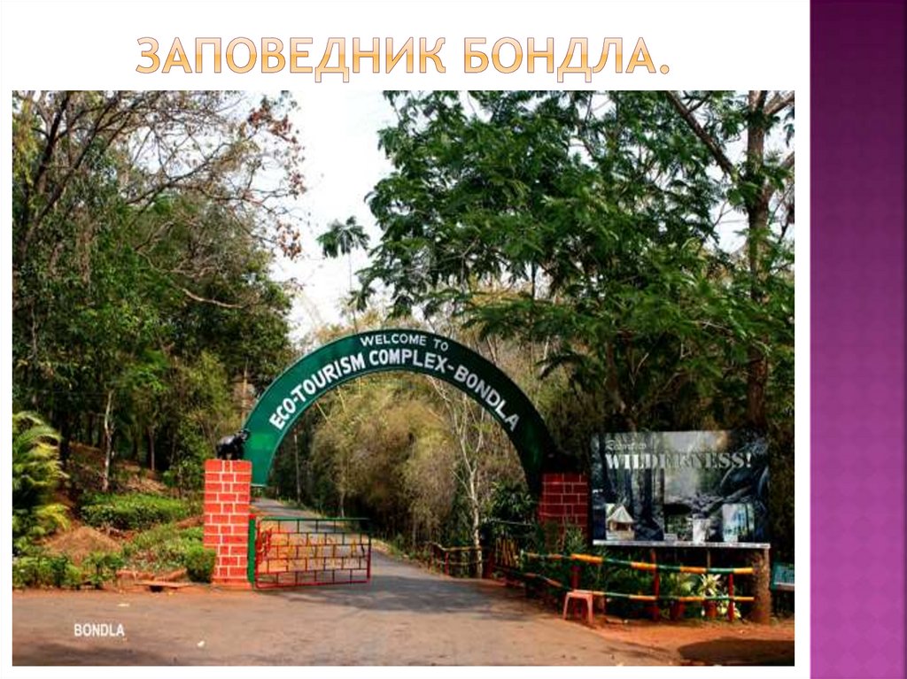 Заповедник Бондла.