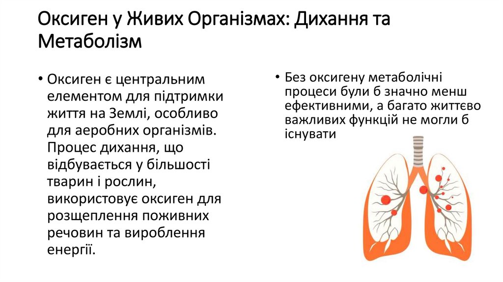 Оксиген у Живих Організмах: Дихання та Метаболізм